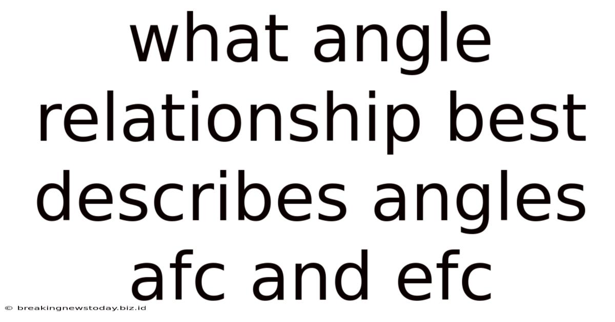 What Angle Relationship Best Describes Angles Afc And Efc