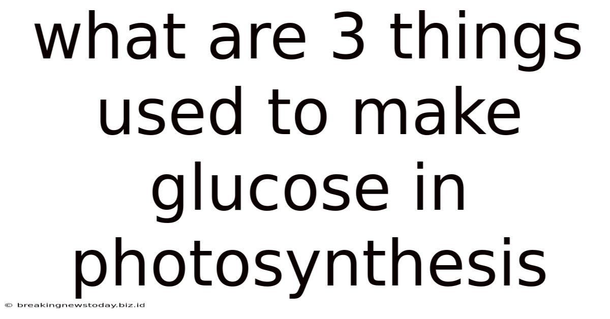 What Are 3 Things Used To Make Glucose In Photosynthesis