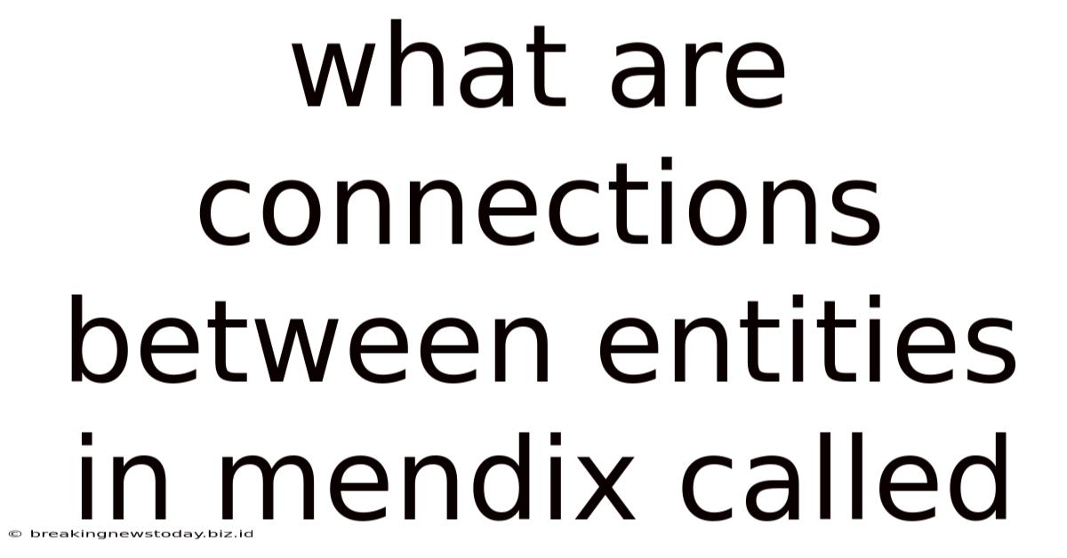 What Are Connections Between Entities In Mendix Called