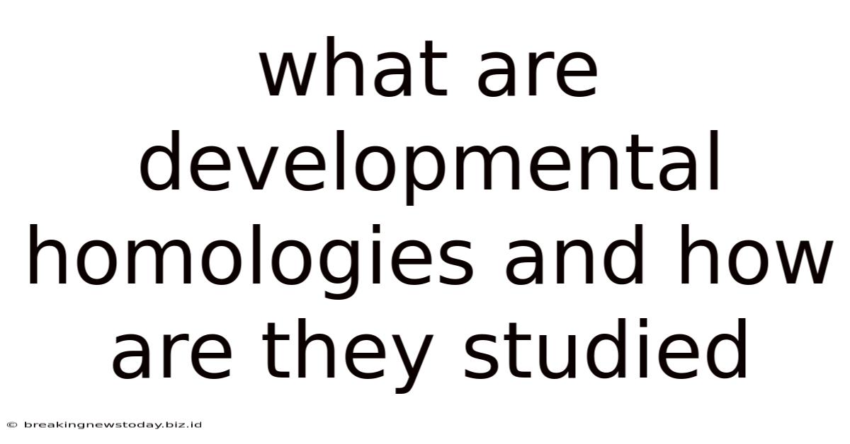 What Are Developmental Homologies And How Are They Studied