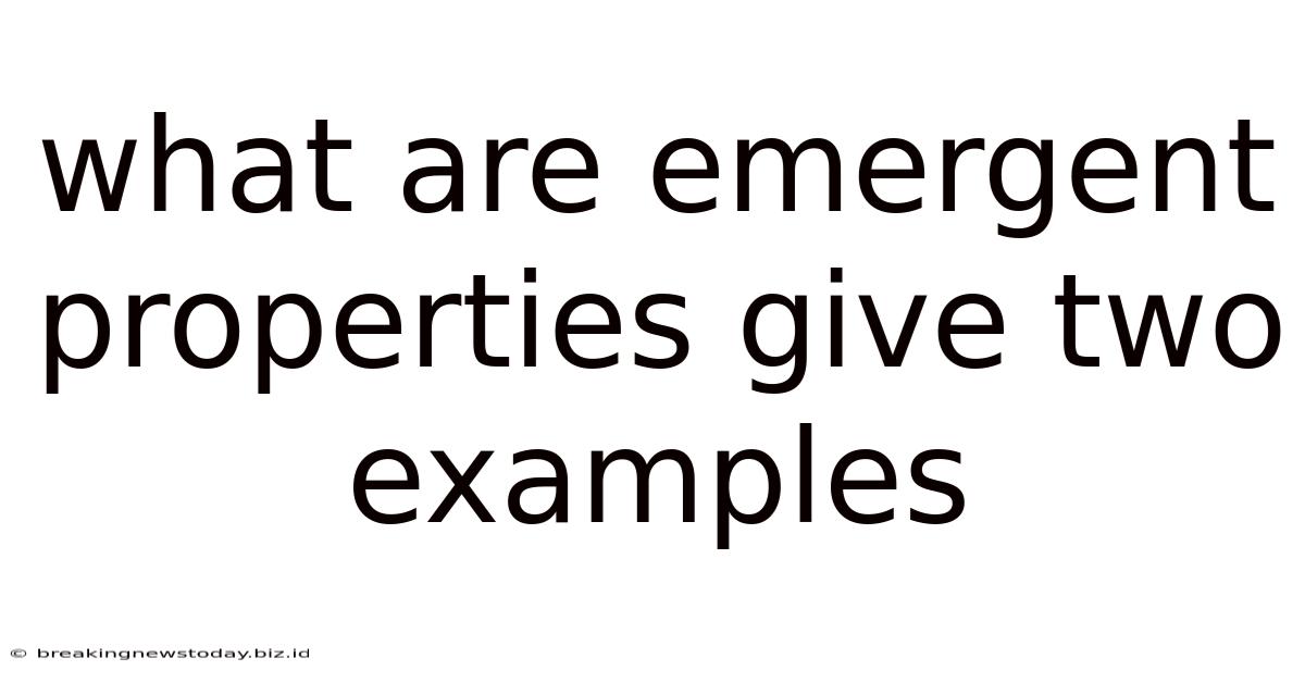 What Are Emergent Properties Give Two Examples