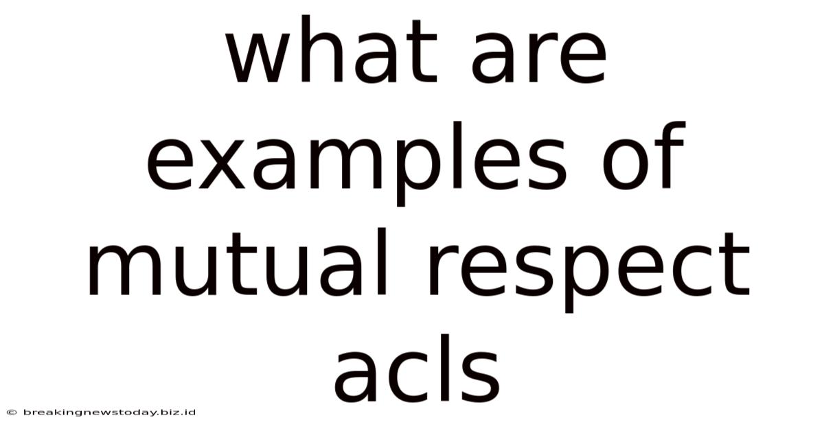 What Are Examples Of Mutual Respect Acls