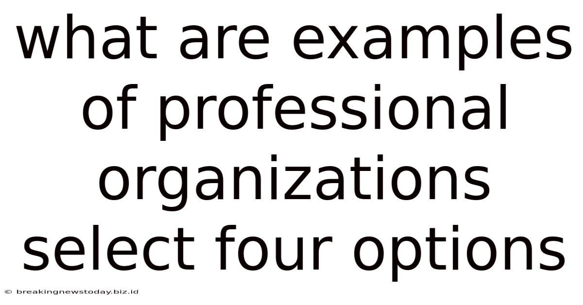 What Are Examples Of Professional Organizations Select Four Options