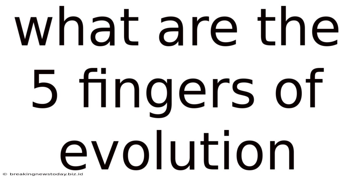 What Are The 5 Fingers Of Evolution