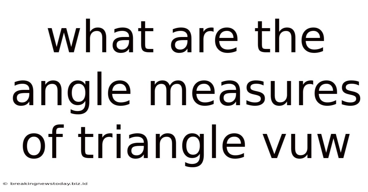 What Are The Angle Measures Of Triangle Vuw