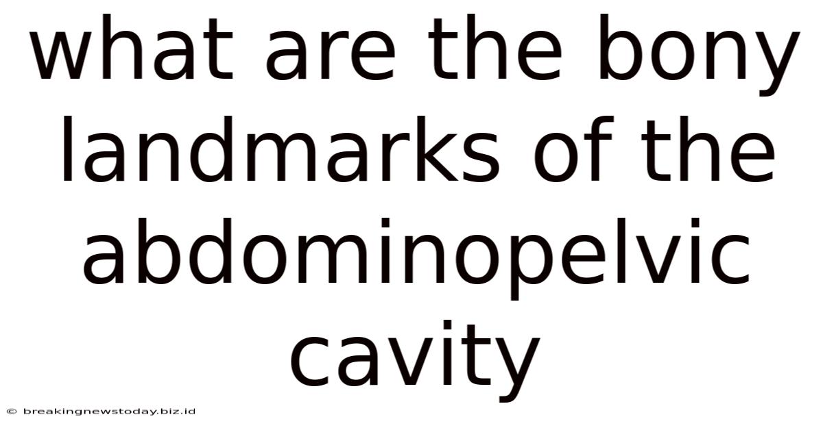 What Are The Bony Landmarks Of The Abdominopelvic Cavity