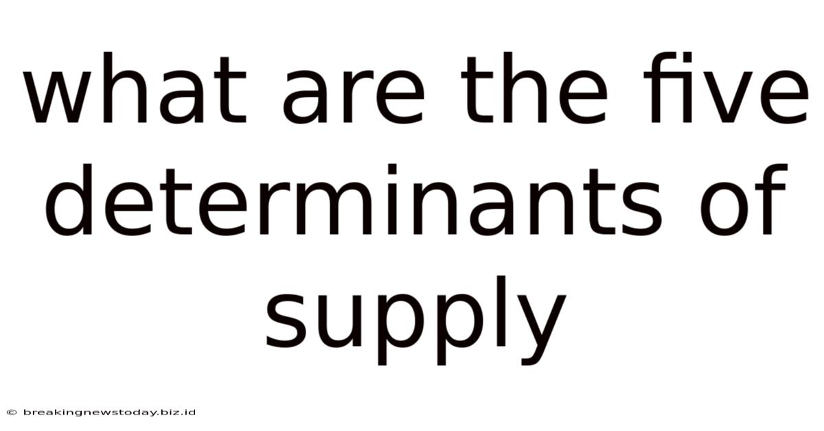 What Are The Five Determinants Of Supply