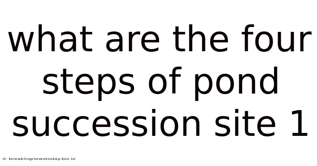What Are The Four Steps Of Pond Succession Site 1