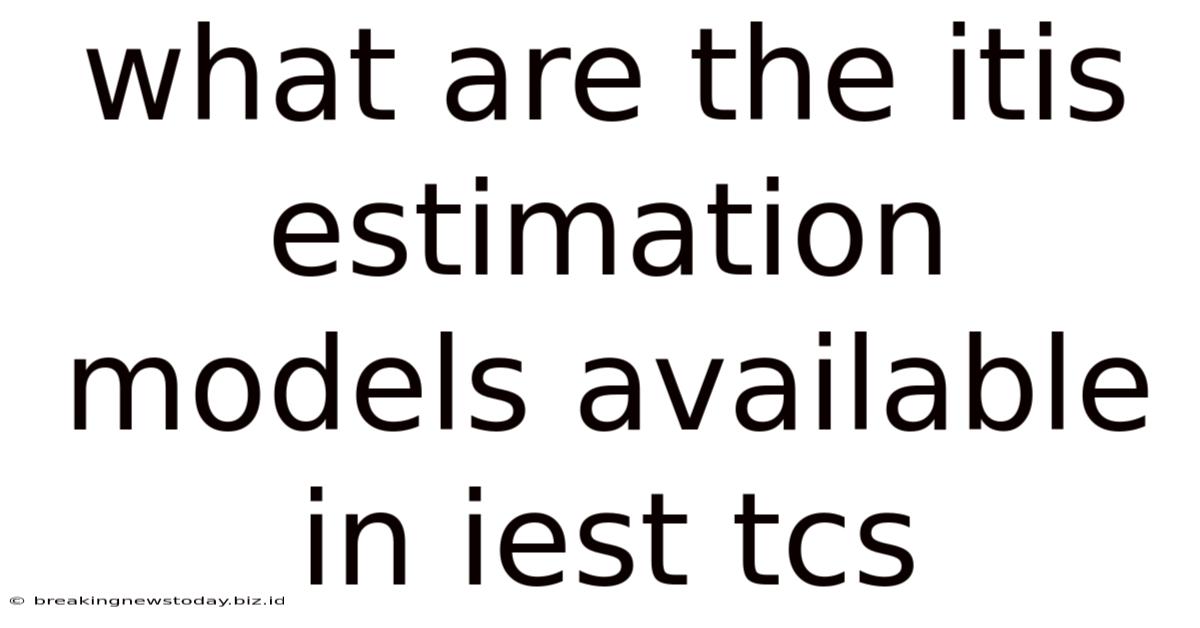 What Are The Itis Estimation Models Available In Iest Tcs