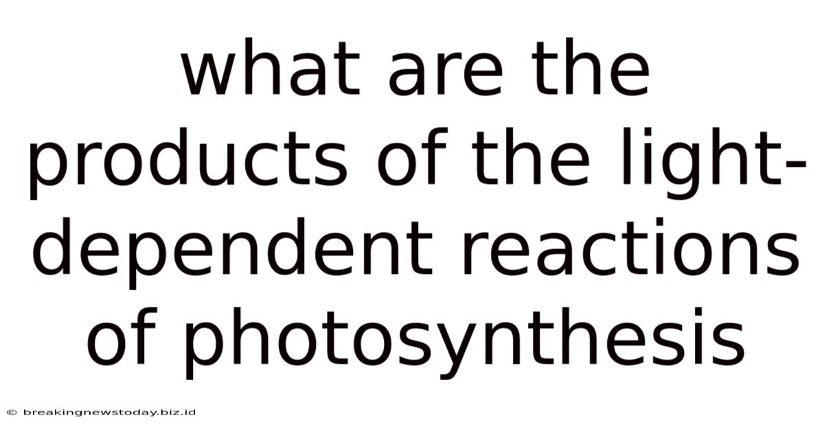 What Are The Products Of The Light-dependent Reactions Of Photosynthesis