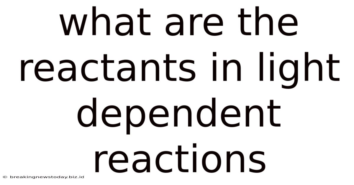 What Are The Reactants In Light Dependent Reactions