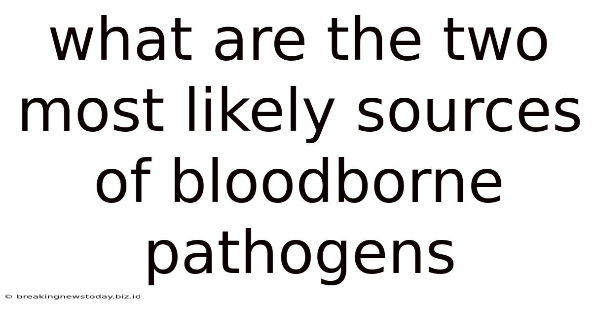 What Are The Two Most Likely Sources Of Bloodborne Pathogens