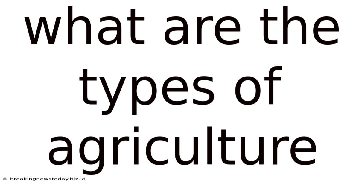 What Are The Types Of Agriculture