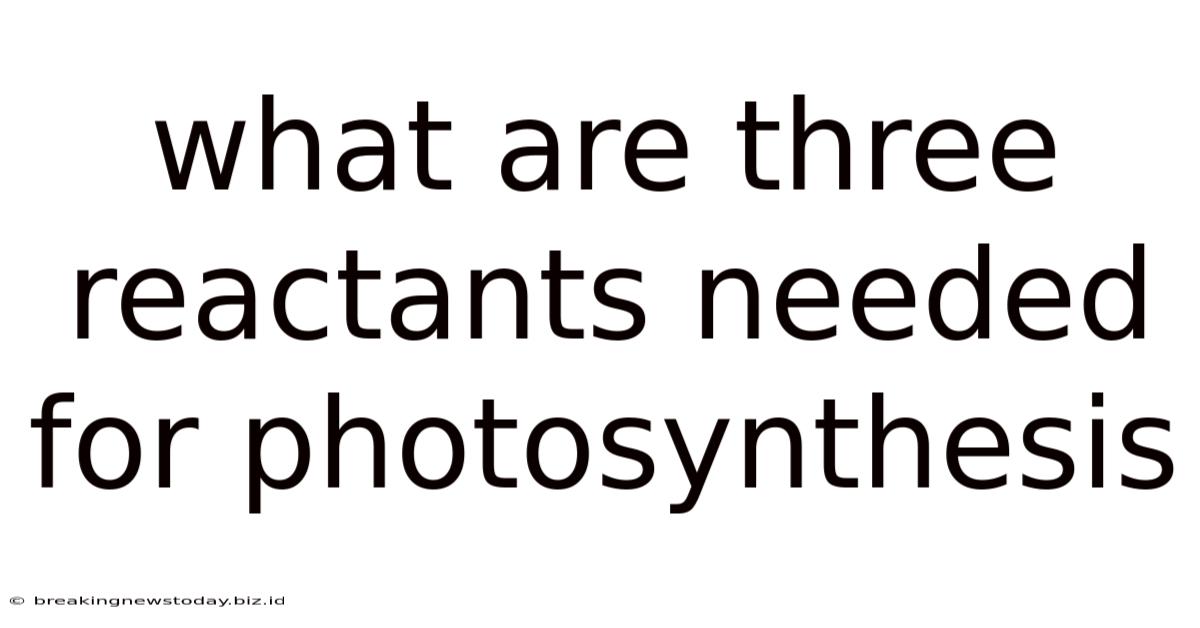 What Are Three Reactants Needed For Photosynthesis