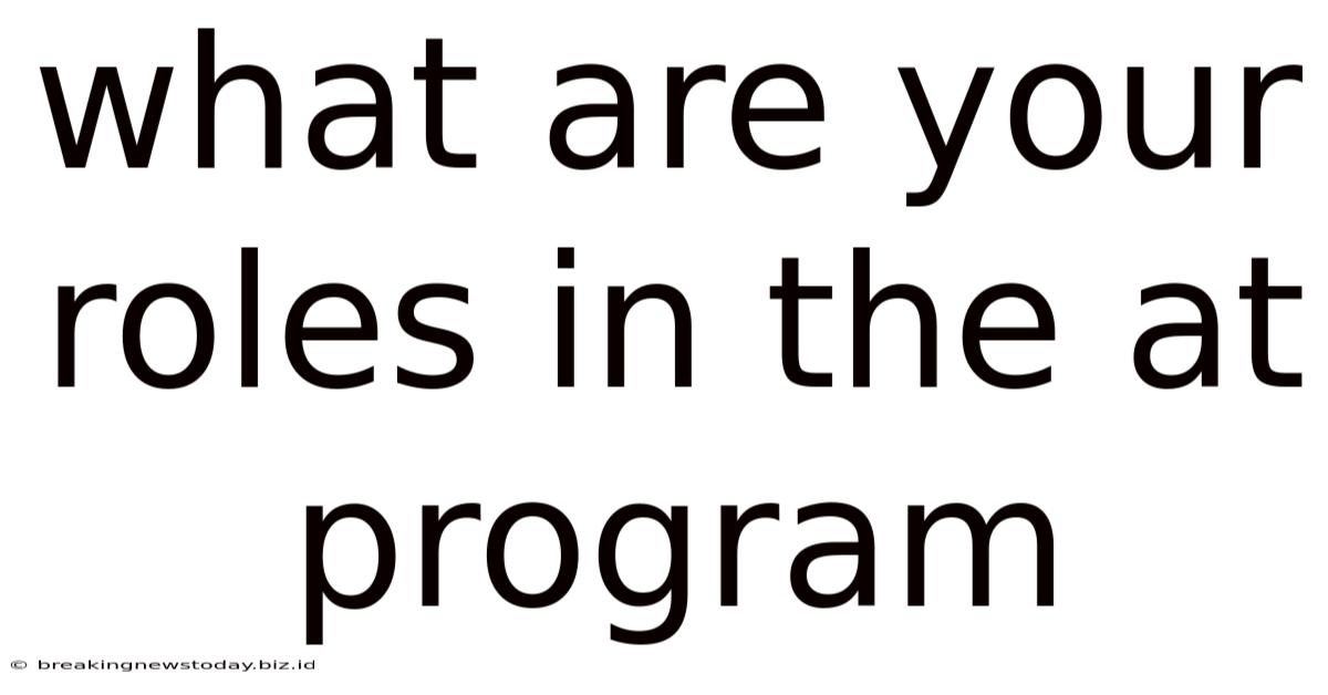 What Are Your Roles In The At Program
