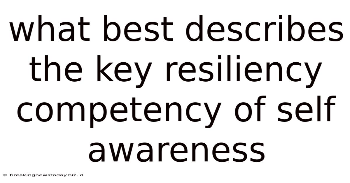 What Best Describes The Key Resiliency Competency Of Self Awareness