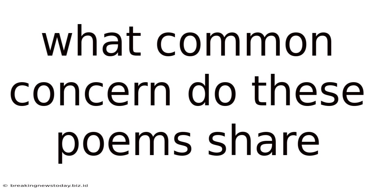 What Common Concern Do These Poems Share