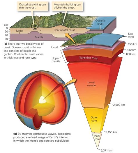 What Covers 1/5 Of The Earth's Surface