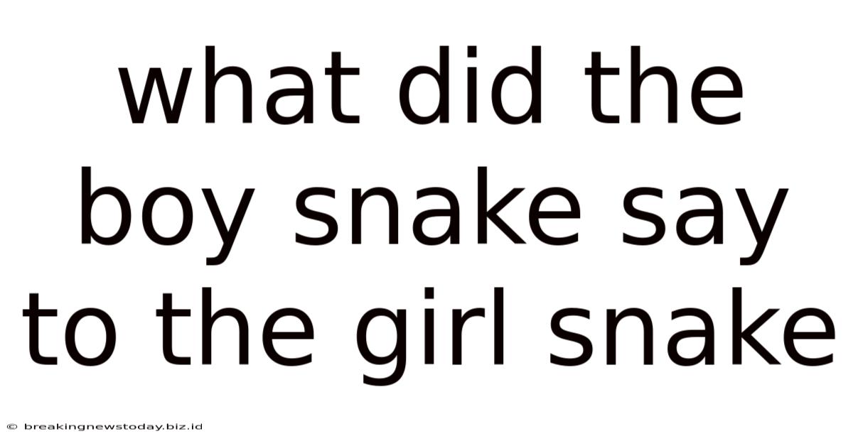 What Did The Boy Snake Say To The Girl Snake