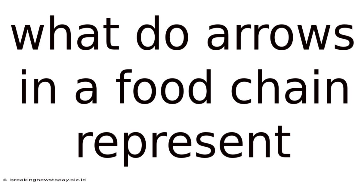 What Do Arrows In A Food Chain Represent