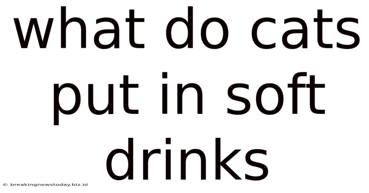 What Do Cats Put In Soft Drinks