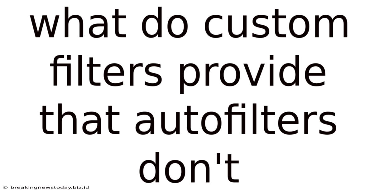 What Do Custom Filters Provide That Autofilters Don't