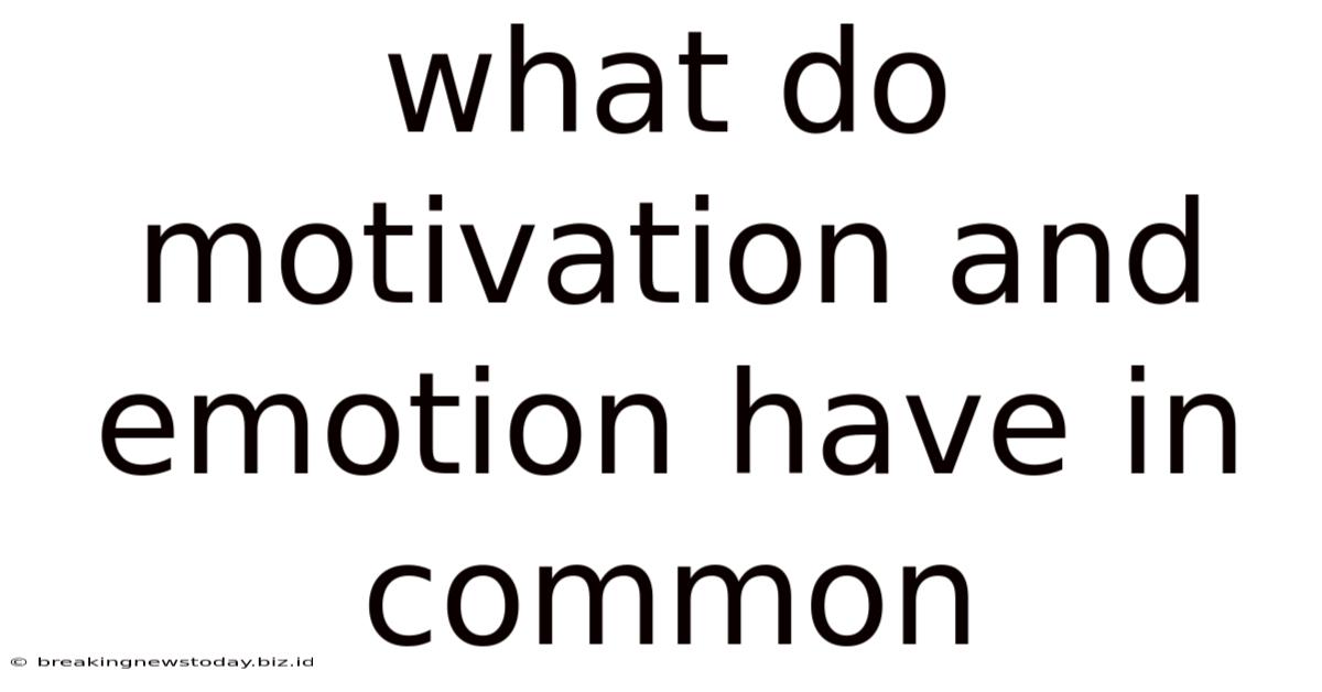 What Do Motivation And Emotion Have In Common