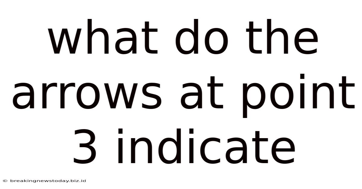 What Do The Arrows At Point 3 Indicate