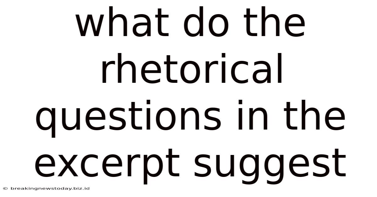What Do The Rhetorical Questions In The Excerpt Suggest