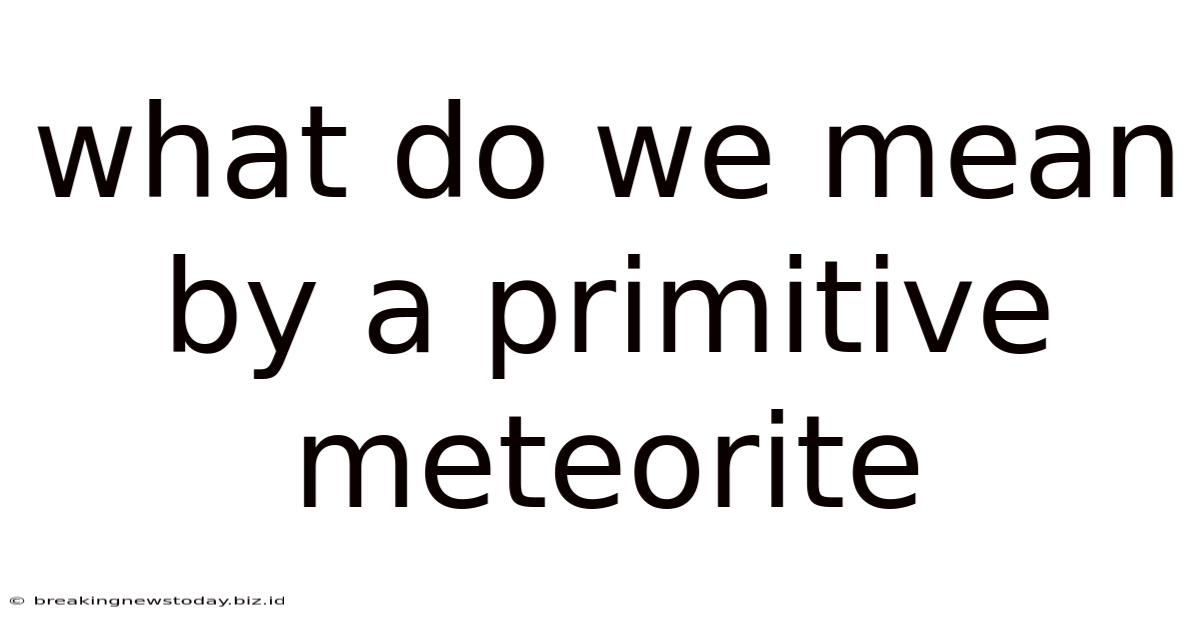 What Do We Mean By A Primitive Meteorite