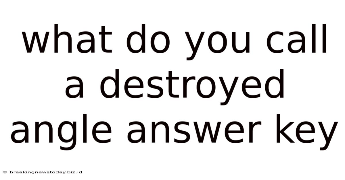 What Do You Call A Destroyed Angle Answer Key