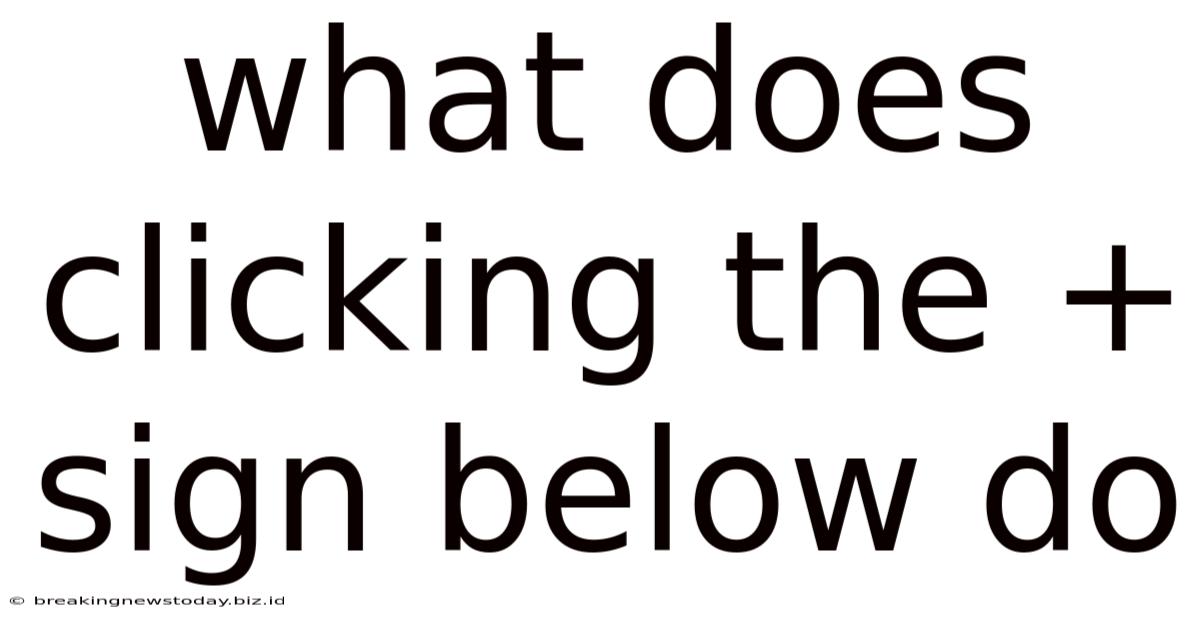 What Does Clicking The + Sign Below Do