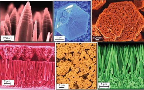 What Does It Mean If A Micrograph Is False Colored