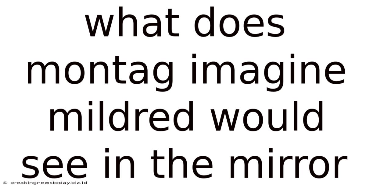 What Does Montag Imagine Mildred Would See In The Mirror