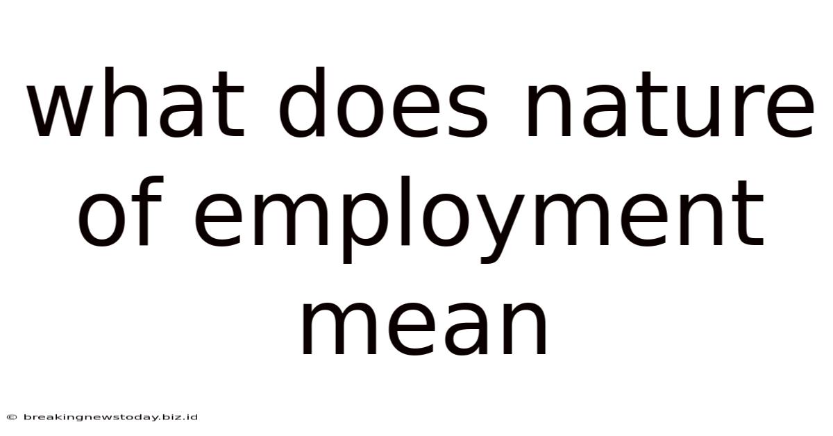 What Does Nature Of Employment Mean