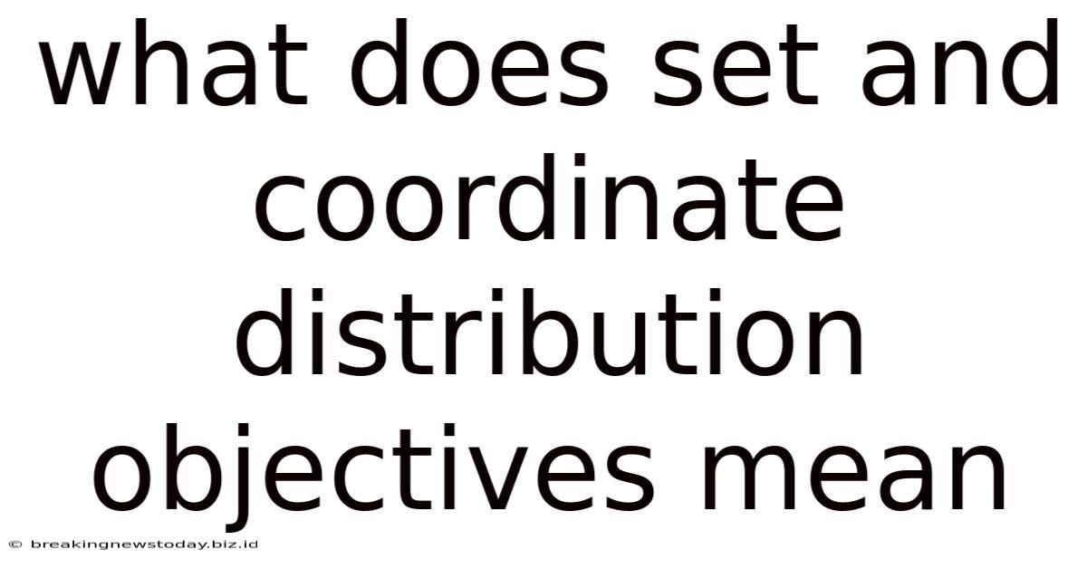 What Does Set And Coordinate Distribution Objectives Mean