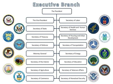 What Does The Executive Branch Do Quizlet