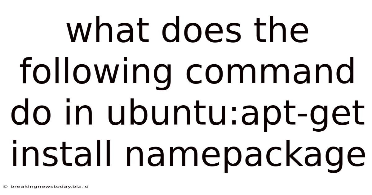 What Does The Following Command Do In Ubuntu:apt-get Install Namepackage