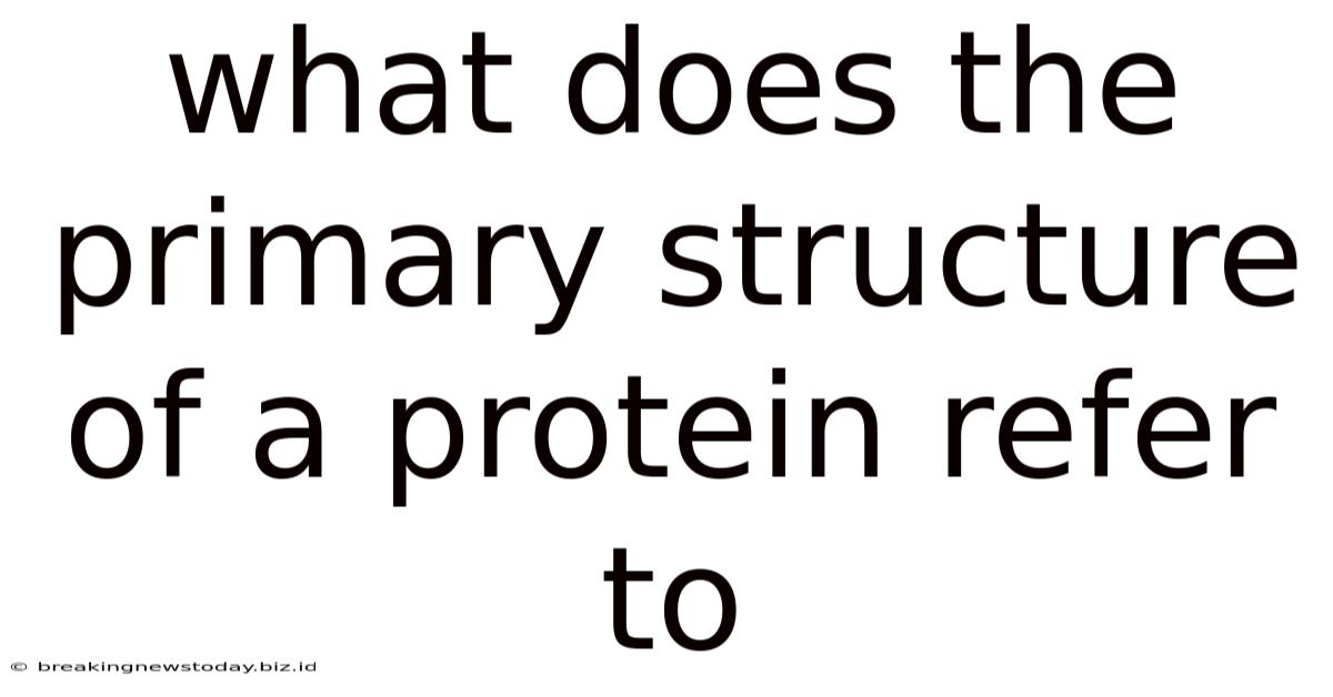 What Does The Primary Structure Of A Protein Refer To