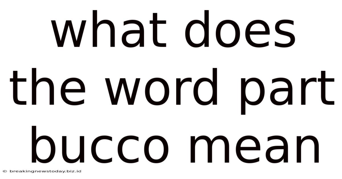 What Does The Word Part Bucco Mean