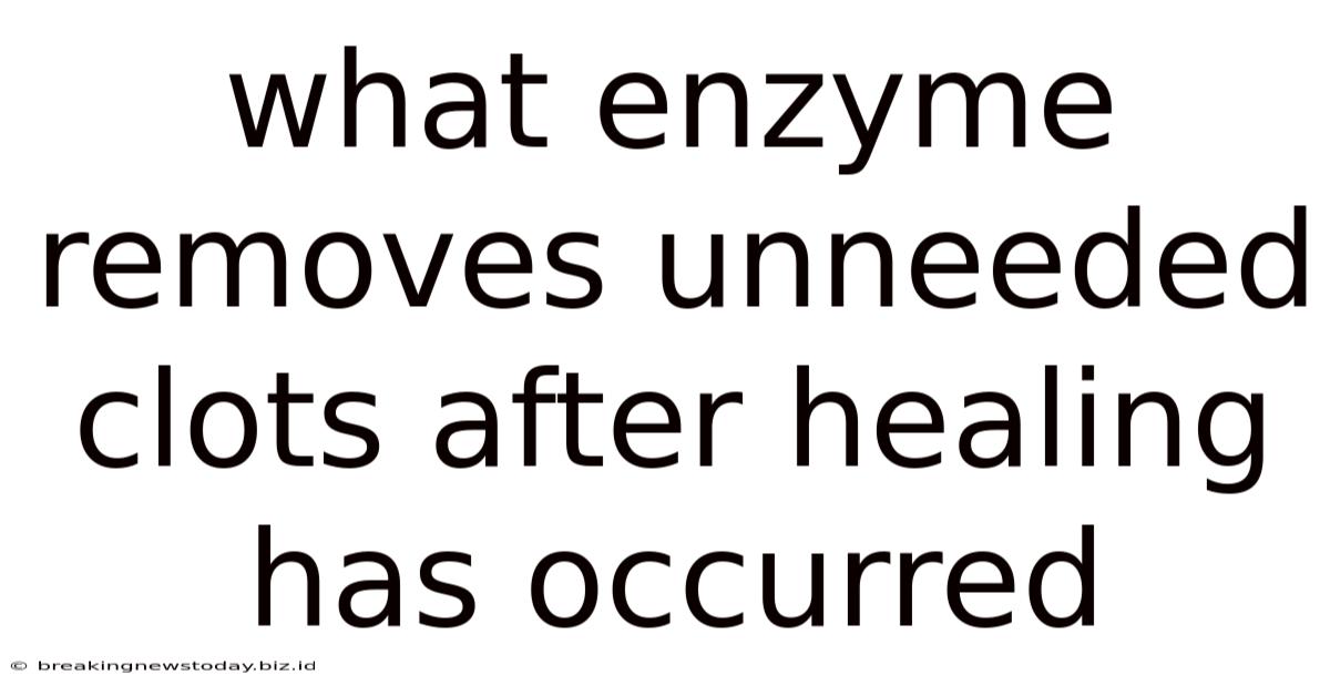 What Enzyme Removes Unneeded Clots After Healing Has Occurred