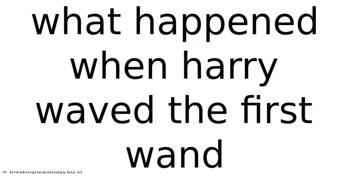 What Happened When Harry Waved The First Wand