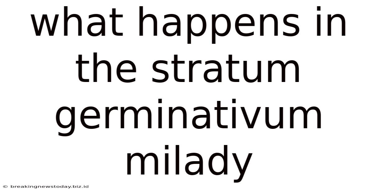 What Happens In The Stratum Germinativum Milady
