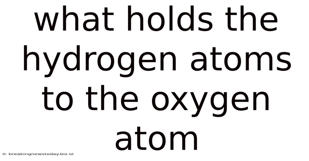 What Holds The Hydrogen Atoms To The Oxygen Atom