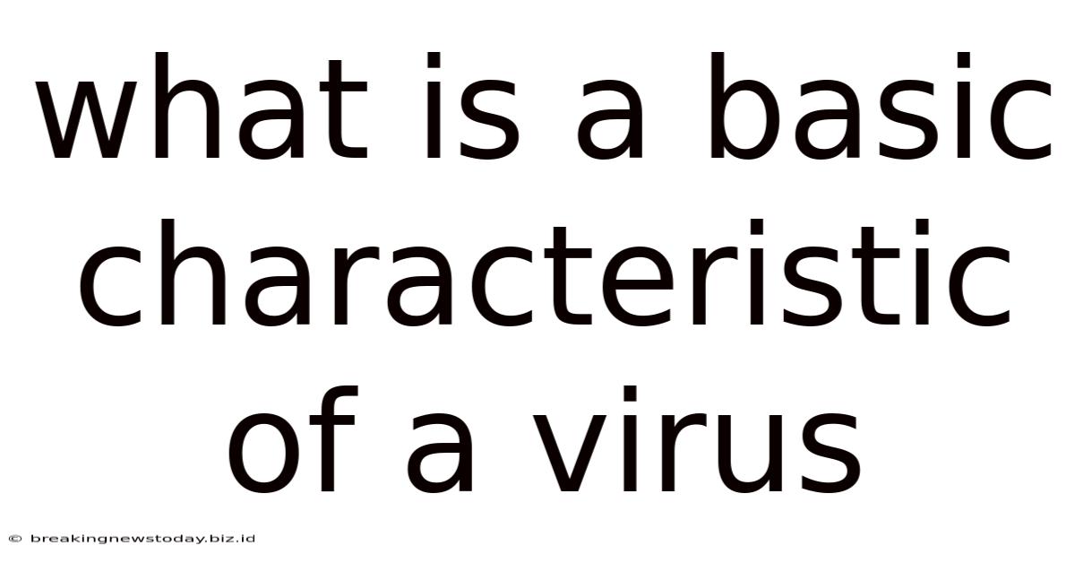 What Is A Basic Characteristic Of A Virus