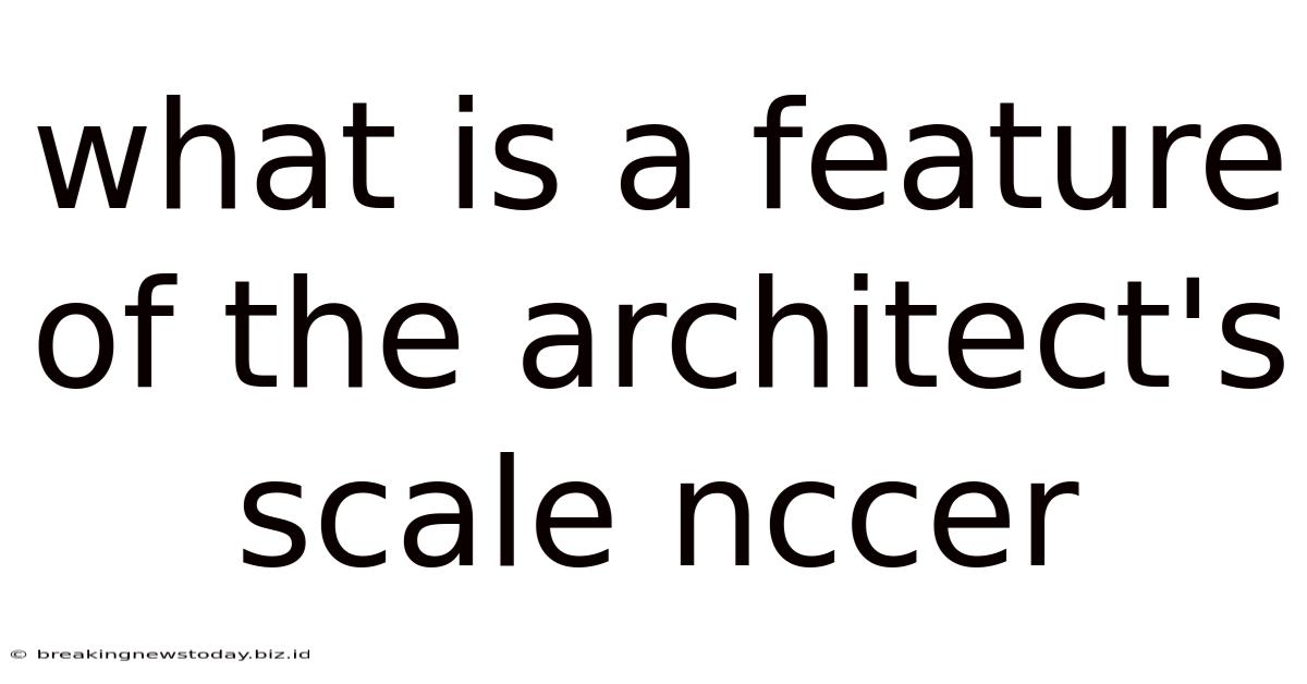 What Is A Feature Of The Architect's Scale Nccer