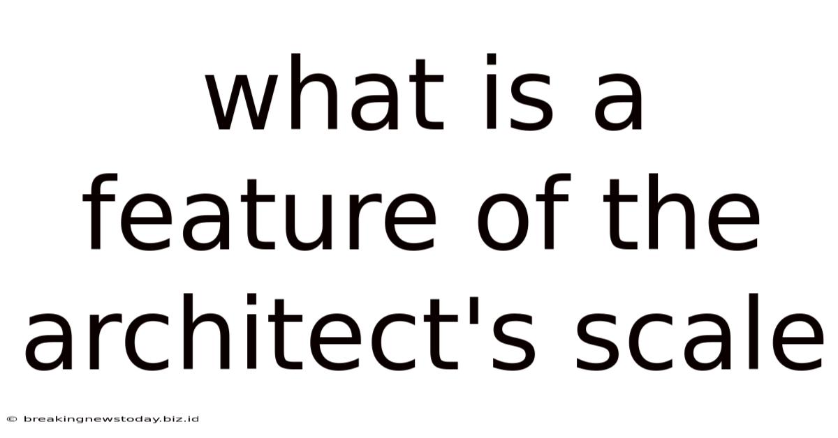 What Is A Feature Of The Architect's Scale