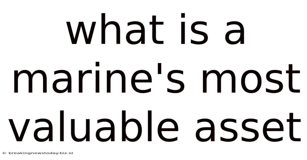 What Is A Marine's Most Valuable Asset