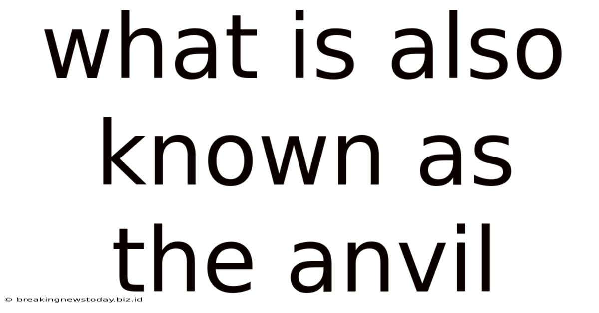 What Is Also Known As The Anvil