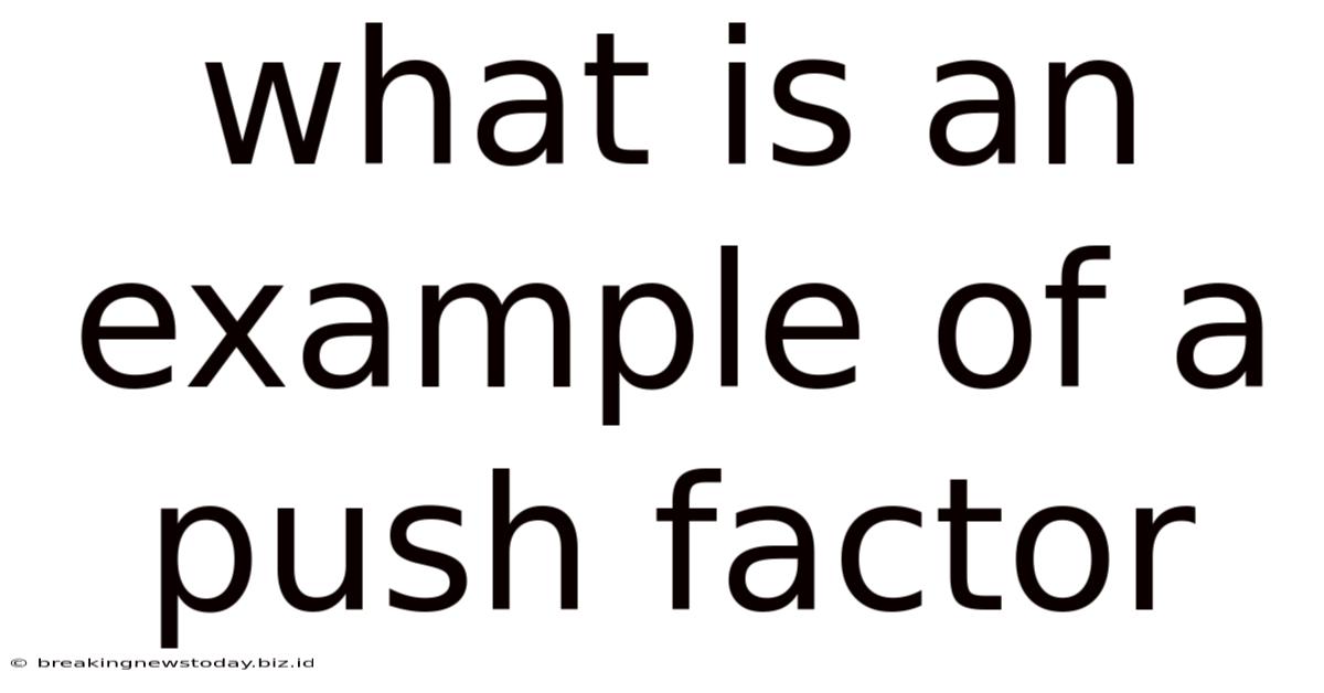 What Is An Example Of A Push Factor